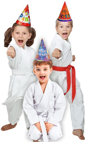 Martial Arts Birthday Party for Kids in Maplewood NJ - Birthday Punches Page Banner